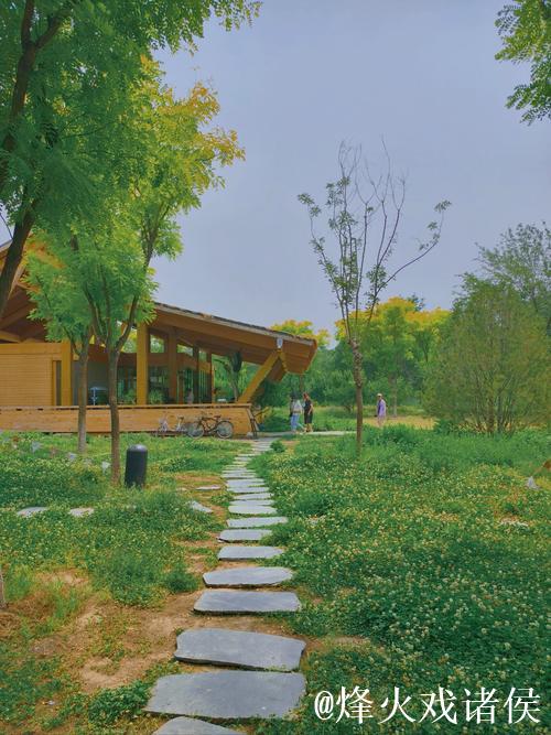 青青草社区：绿色生活与和谐共存的乐园