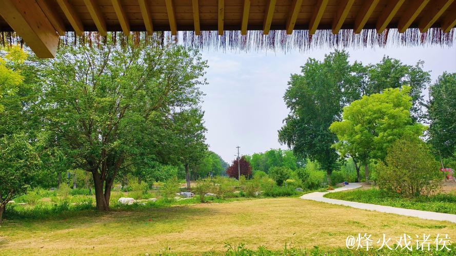 青青草社区：绿色生活与和谐共存的乐园